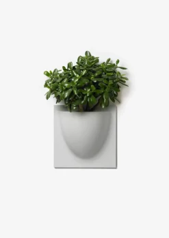 Vertiplants BIO