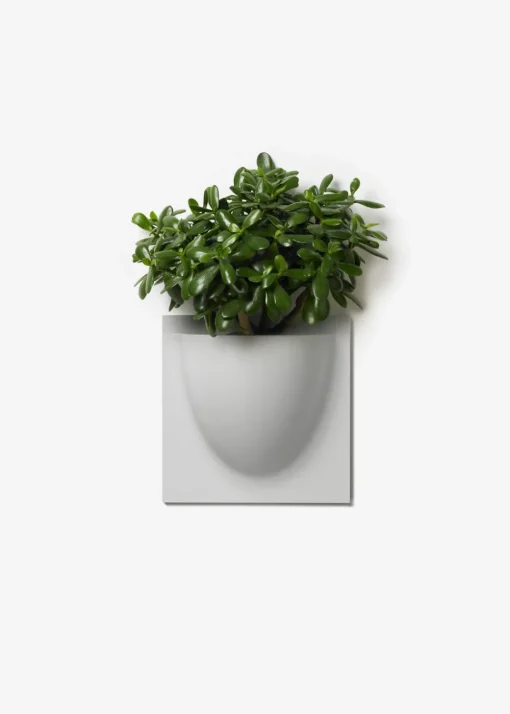 Vertiplants BIO