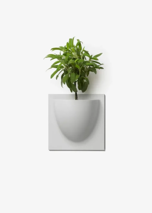 Vertiplants BIO