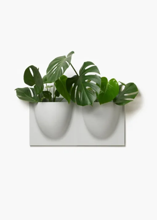 Vertiplants BIO