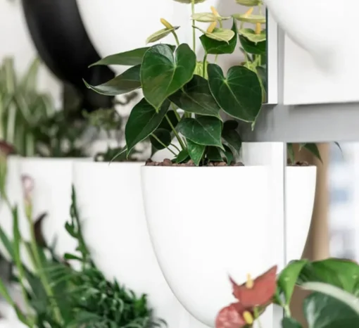 Vertiplants BIO
