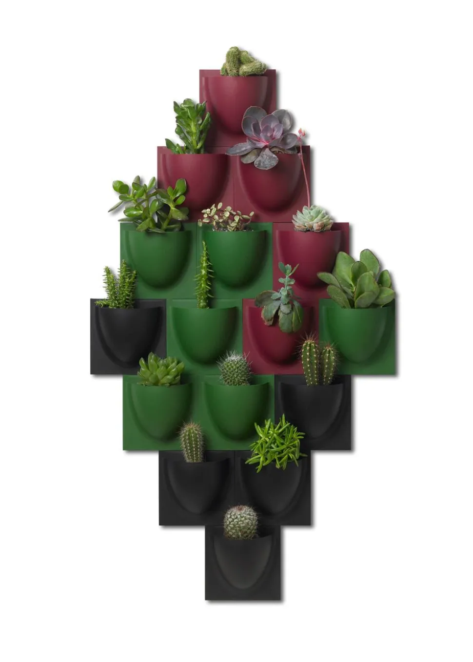 Vertiplants BIO