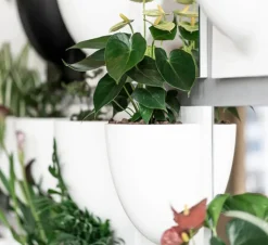 Vertiplants BIO