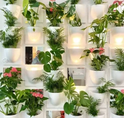 Vertiplants BIO