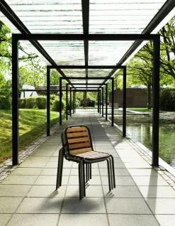 Vig Chair Robinia