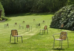 Vig Chair Robinia