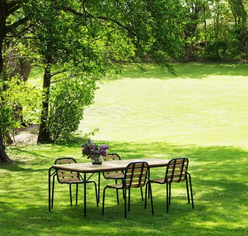 Vig Table Robinia