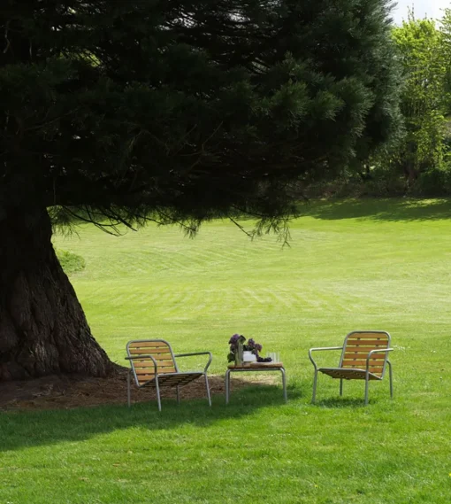 Vig Table Robinia