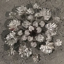 Wall Flower