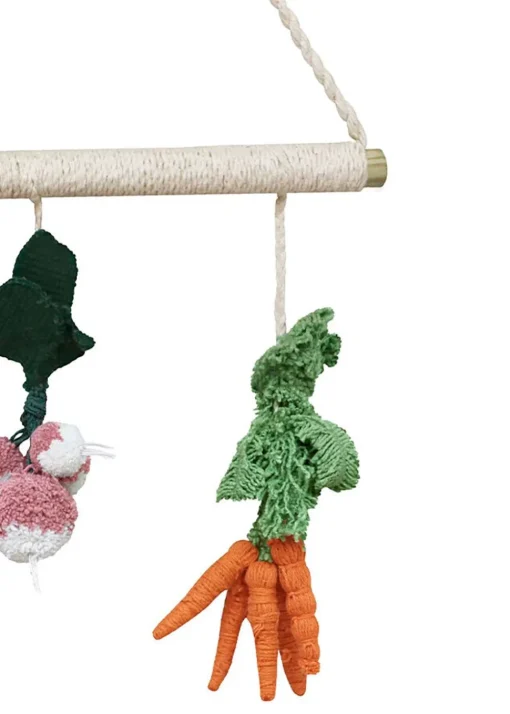 Wall Hanging Veggies