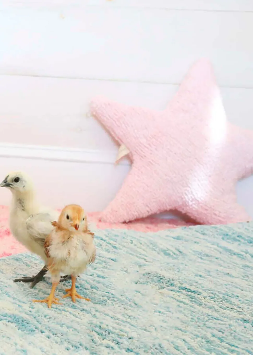 Washable Cushion Star