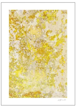 Yellow Stone Structure